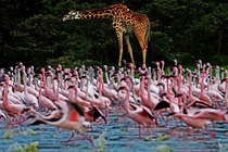 ���Ŀ��၆���f�����B�w����^����