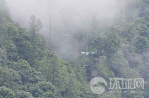 ӡ߅ӡ܊վ[ԭʼɭ