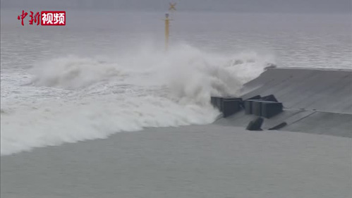 “八月十八”遇上臺(tái)風(fēng) 錢塘大潮驚濤拍岸