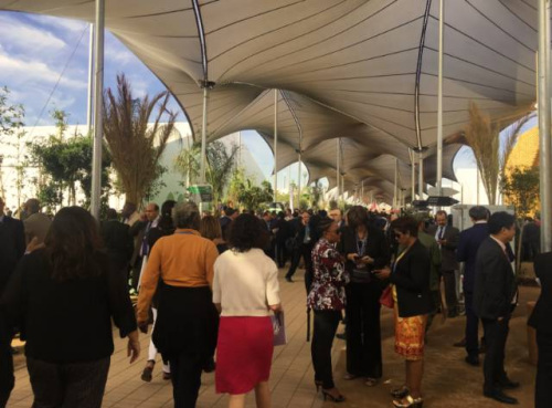 R(hu)F(xin)(chng)<a target='_blank' ></a>፹ z