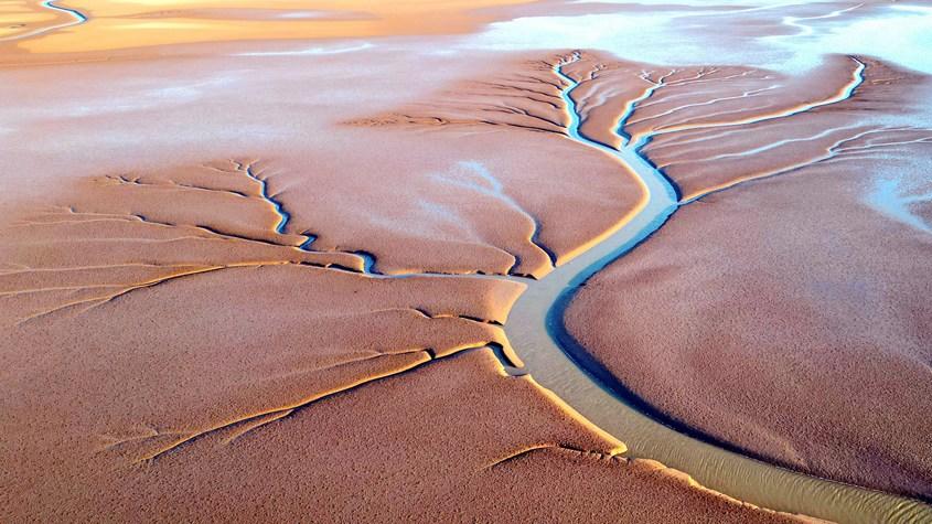 黃河入?？诂F(xiàn)壯美“潮汐樹(shù)”