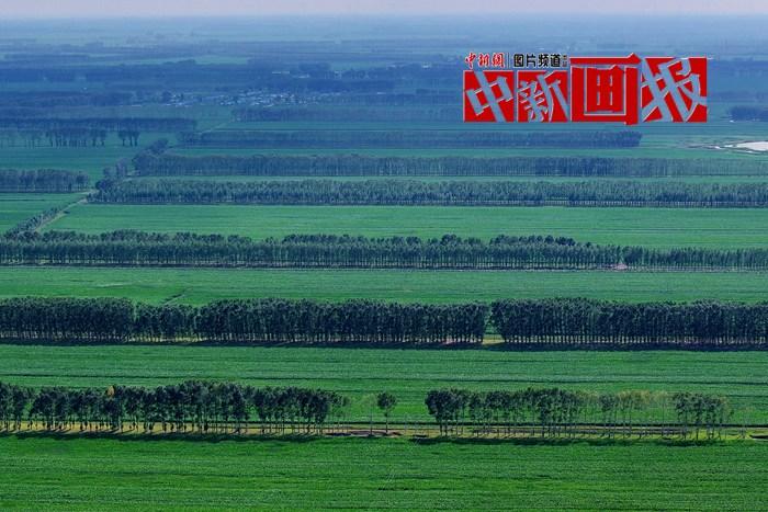 “植”此青綠 “綠色能量”根本收不完！