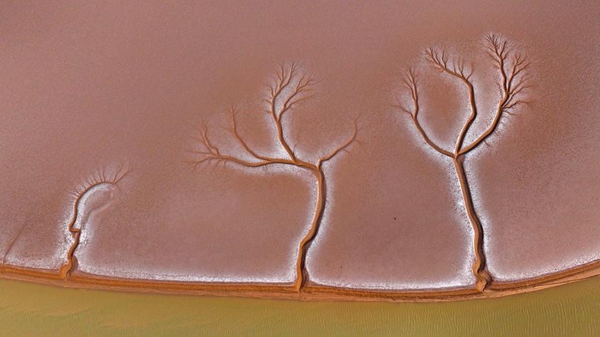 黃河入?？跐竦噩F(xiàn)“潮汐樹(shù)”景觀