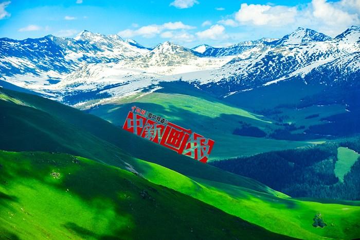 將夏天的“綠” 裝進(jìn)屏幕里，一組護(hù)眼壁紙請(qǐng)查收！