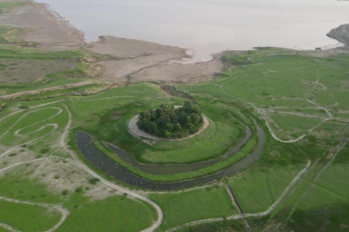 河南黃河三門峽庫(kù)區(qū)現(xiàn)“生態(tài)草原”景觀