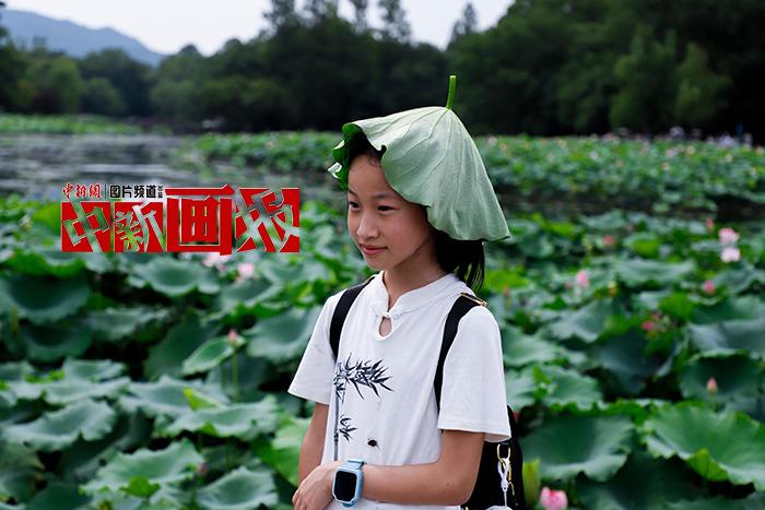 入伏有“涼”方 “花式”避暑輕松Get！