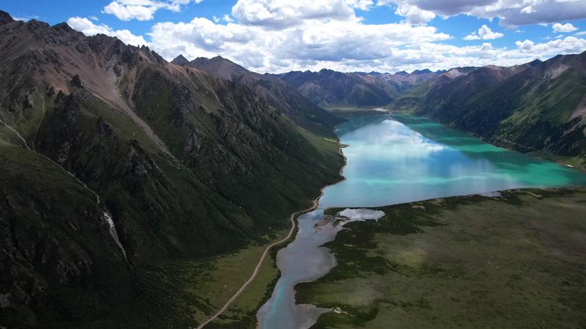 夏日嘉乃玉錯美如畫