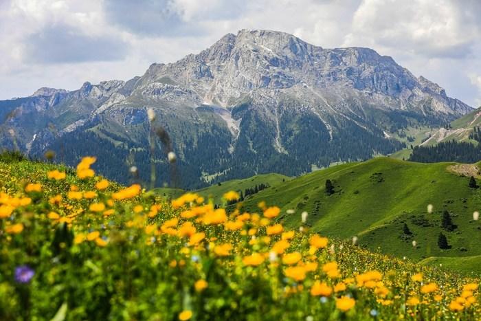 新疆伊昭公路：奇美風光引客來