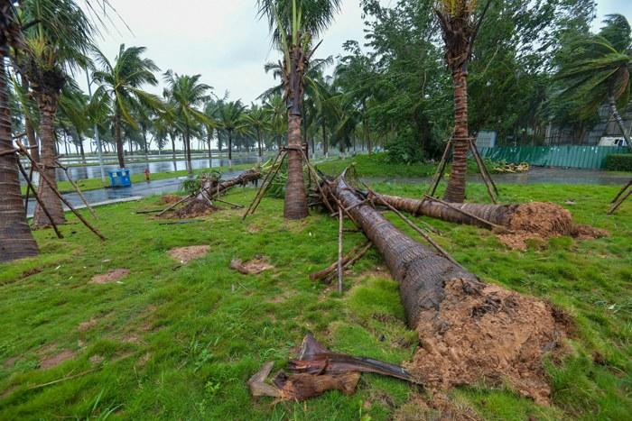 強(qiáng)臺(tái)風(fēng)“麥德姆”攜強(qiáng)風(fēng)雨影響?？?>
     <p>強(qiáng)臺(tái)風(fēng)“麥德姆”攜強(qiáng)風(fēng)雨影響?？?/p>
</a><a href=