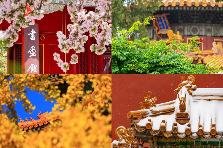 百歲快樂！一組圖領(lǐng)略故宮四季流轉(zhuǎn)之美