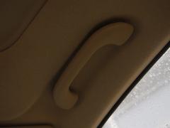 (gu)(ni)ÿnϵ܇(ch)w(yn)Forte