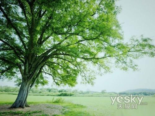 神秘的s軍團 深度剖析聯(lián)想ThinkPad T400s