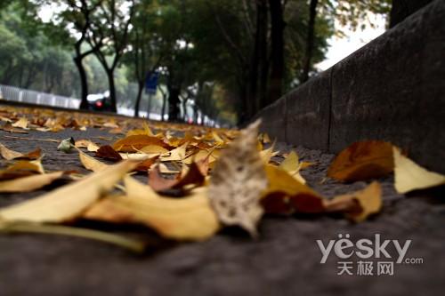 本周數(shù)碼相機(jī)市場(chǎng) 消費(fèi)者關(guān)注度前十熱機(jī)