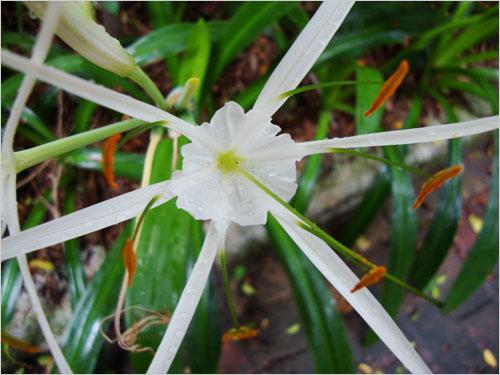 本周數(shù)碼相機市場 消費者關(guān)注度前十熱機