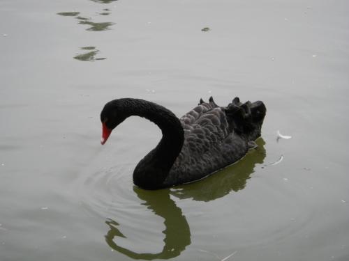 點(diǎn)擊查看原圖