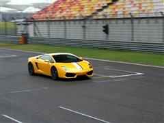 (q)UţwmLP550-2 ܇֮