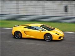 (q)UţwmLP550-2 ܇֮