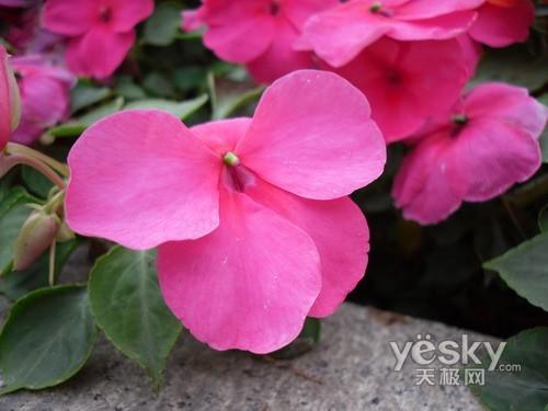 太空小丑平安著陸 智能長焦數(shù)碼相機推薦