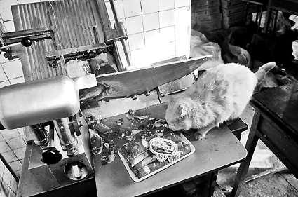 �и�õ���Ƭ�������ϵİ�ɫ��������؈���f����������Ƭ��ؓ(f��)؟(z��)�и���Ƭ��Ů�Ӵ󲿷֕r(sh��)��ҕ����Ҋ ���M�DƬ ����(b��o)ӛ�� ���� �z