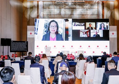 中國經(jīng)濟新形勢：解讀、展望、總結