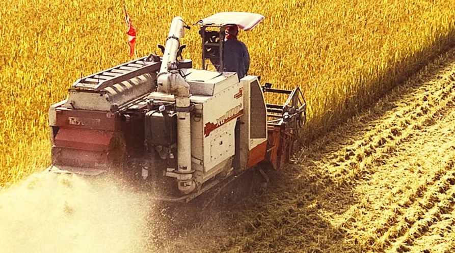 “察實(shí)情、辦實(shí)事、求實(shí)效”，這十句話，振奮人心！