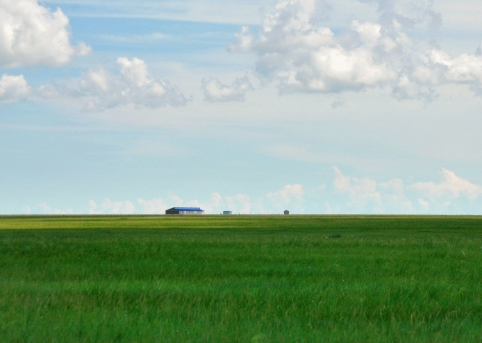 這個夏天，留一幀給“呼倫貝爾綠”