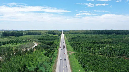 只此青綠，中國“雙碳”雄心背后的山河夢 