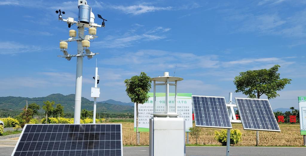 探訪在種業(yè)科研和創(chuàng)業(yè)熱土中成長的三亞“南繁硅谷”<p>晚秋的三亞，午間陽光依然炙熱。在崖州區(qū)壩頭南繁基地，由太陽能電池板提供能源，生態(tài)監(jiān)測系統(tǒng)、物聯(lián)網(wǎng)蟲情信息采集系統(tǒng)不間斷工作。<p>