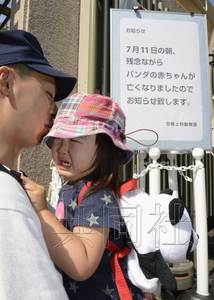 大熊貓幼崽夭折日本游客哀悼為其獻(xiàn)上鮮花(圖)