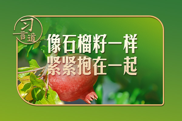 習言道｜“石榴籽”之喻，有了堅實的法治保障