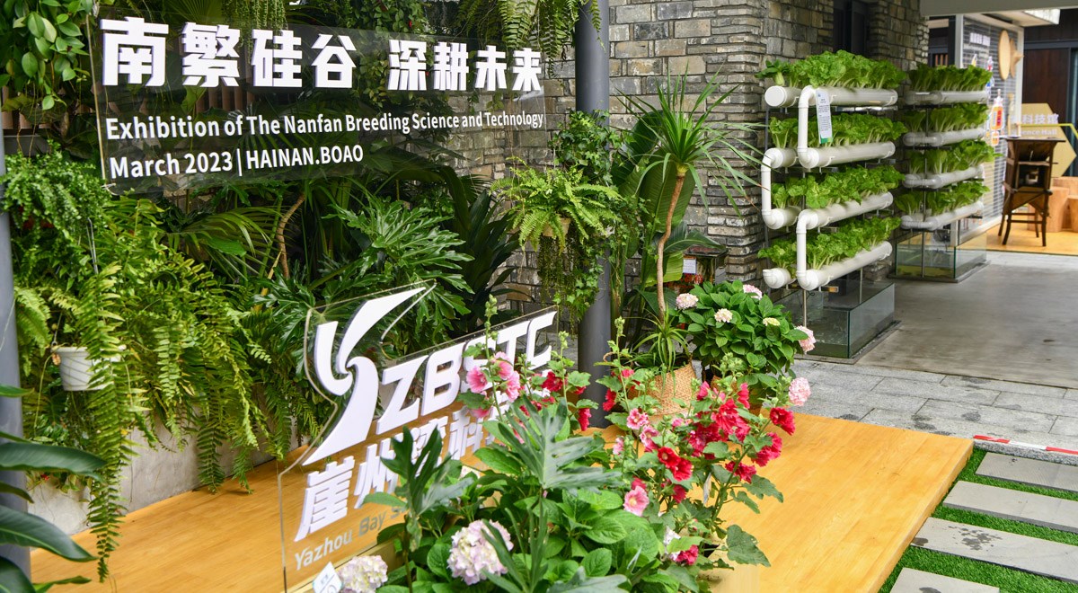 三亞攜南繁果實(shí)、深海利器亮相博鰲亞洲論壇年會(huì)