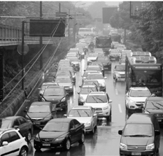 杭州無車日遇臺風(fēng)網(wǎng)上點(diǎn)贊:天天這樣就好了(圖)