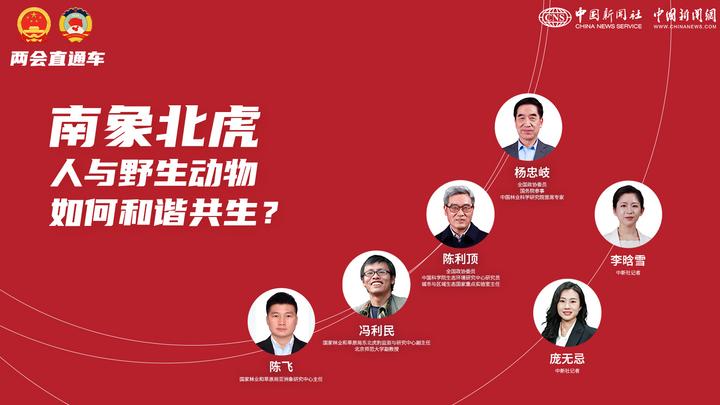 兩會(huì)直通車(chē):南象北虎 人與野生動(dòng)物如何和諧共生?