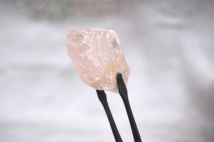 最大粉鉆長啥樣？