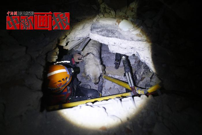 汪汪隊立大功！廢墟中尋找生命之光的搜救犬