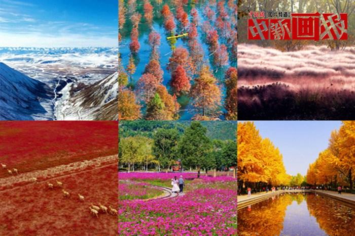 初冬至 大自然多彩冬衣“上新”啦！