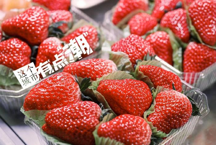 丹東：這一口鮮甜，開啟冬日“莓”好時(shí)光