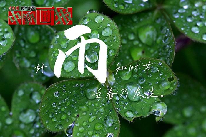 世界讀書日 把詩詞春天寫進(jìn)春天里