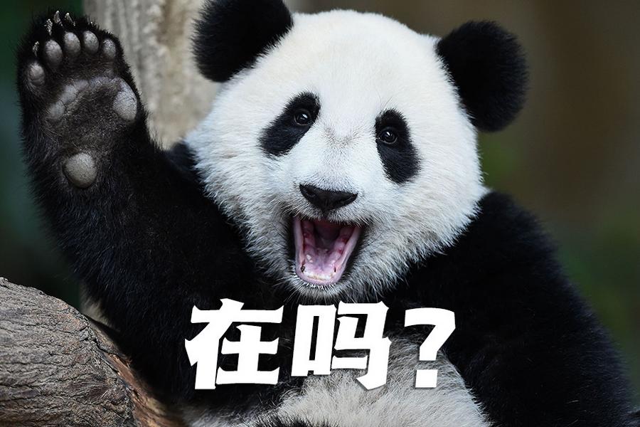 【世界微笑日特刊】嘿嘿，今天你笑了嗎？